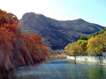 管家婆黑白马报图库，南宫格力犬基地